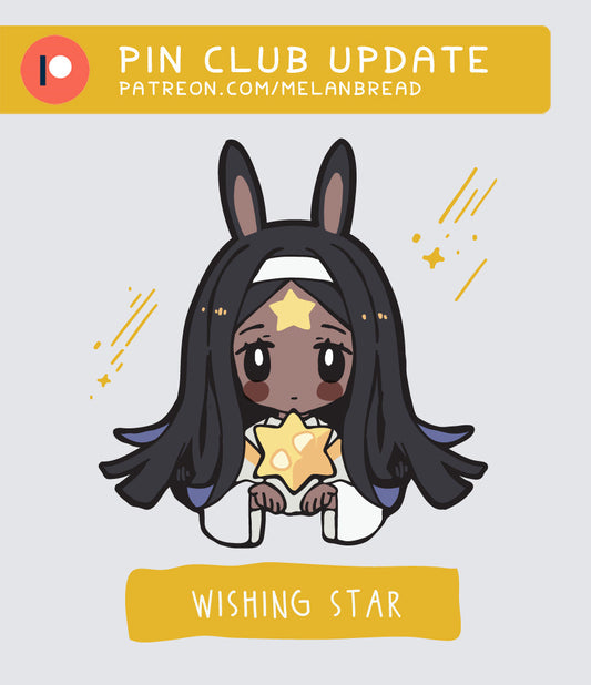 Wishing Star Pin