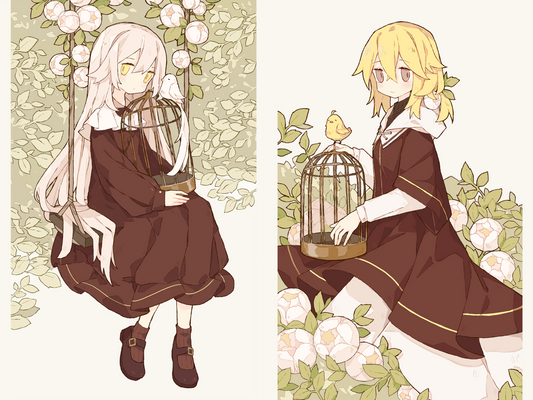 Out of a Birdcage